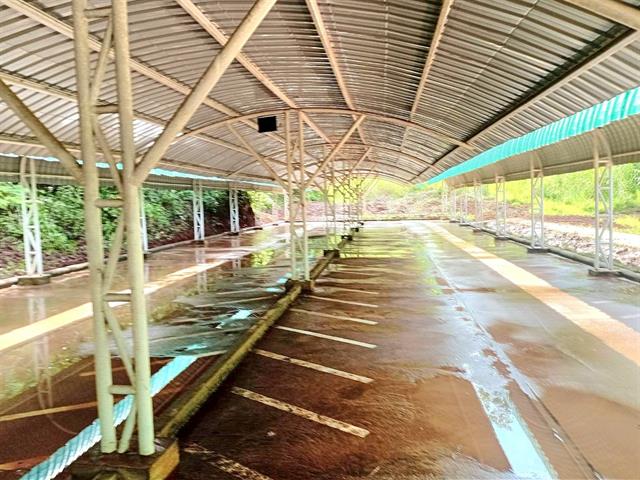 กองอาคารสถานที่ มหาวิทยาลัยพะเยา