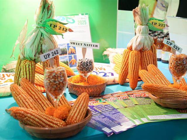 UP Innovation Day 2025 