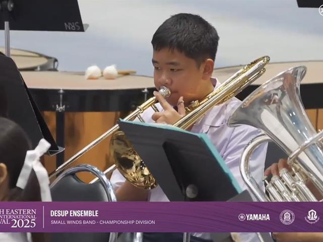 DeSUP Ensemble