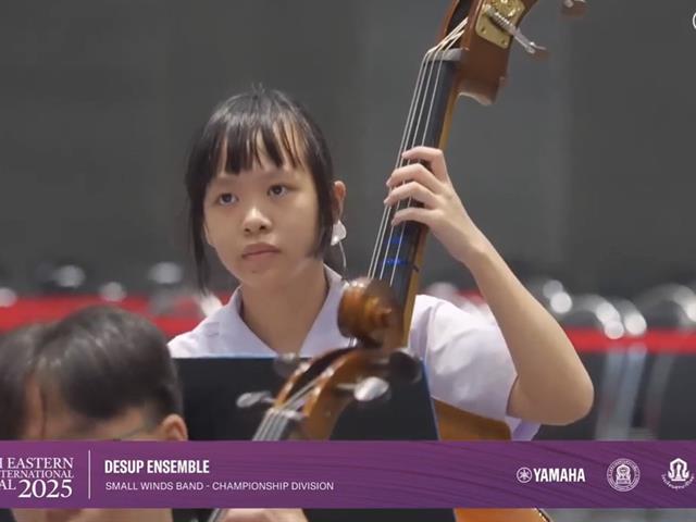 DeSUP Ensemble