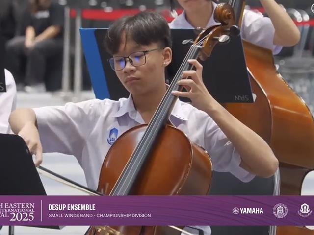 DeSUP Ensemble