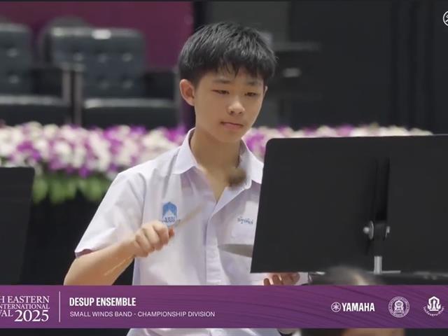 DeSUP Ensemble
