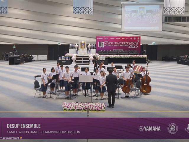 DeSUP Ensemble