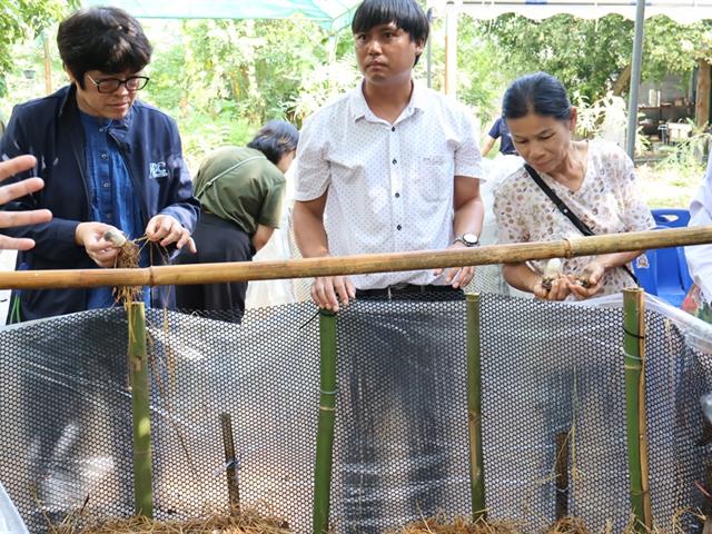 คณะวิทยาศาสตร์ มหาวิทยาลัยพะเยา