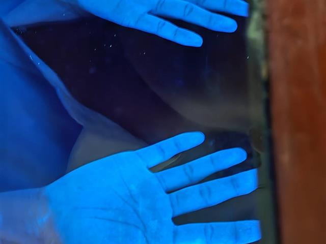 นำนิสิตหลักสูตรประกาศนียบัตรผู้ช่วยพยาบาล เข้าศึกษาดูงานสถานบริการสุขภาพ ณ หน่วยจ่ายกลาง โรงพยาบาลมหาวิทยาลัยพะเยา