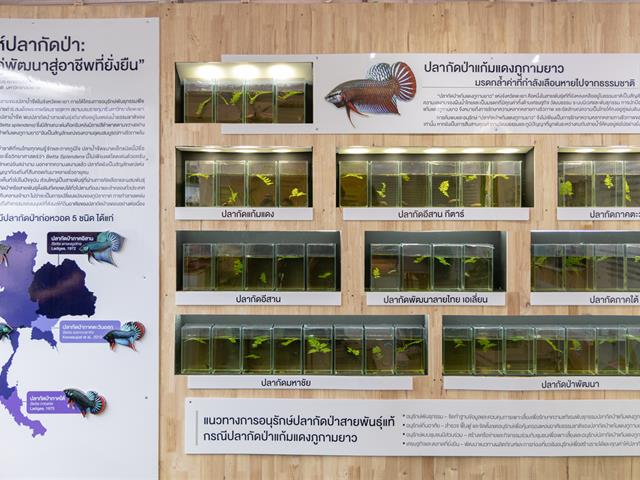 มหาวิทยาลัยพะเยา เข้าร่วมกิจกรรมและร่วมจัดนิทรรศการผลงานวิจัย ในงาน "การประชุมวิชาการและนิทรรศการ ทรัพยากรไทย : หวนดูทรัพย์สิ่งสินตน ครั้งที่ 12" ณ มหาวิทยาลัยแม่โจ้ จังหวัดเชียงใหม่ ระหว่างวันที่ 4 - 10 พฤศจิกายน 2568