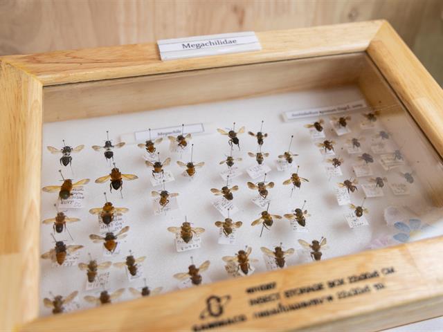 มหาวิทยาลัยพะเยา เข้าร่วมกิจกรรมและร่วมจัดนิทรรศการผลงานวิจัย ในงาน "การประชุมวิชาการและนิทรรศการ ทรัพยากรไทย : หวนดูทรัพย์สิ่งสินตน ครั้งที่ 12" ณ มหาวิทยาลัยแม่โจ้ จังหวัดเชียงใหม่ ระหว่างวันที่ 4 - 10 พฤศจิกายน 2568