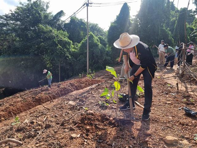 กองกิจการนิสิต ร่วมกับ กองอาคารสถานที่ ปลูกต้นคำมอกหลวง