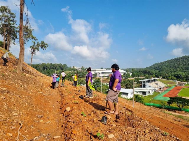 กองกิจการนิสิต ร่วมกับ กองอาคารสถานที่ ปลูกต้นคำมอกหลวง