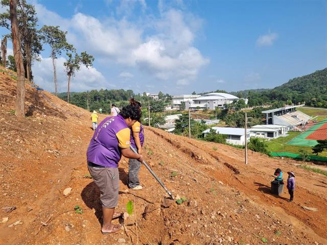 กองกิจการนิสิต ร่วมกับ กองอาคารสถานที่ ปลูกต้นคำมอกหลวง