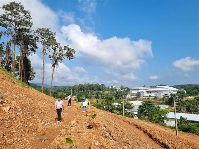 กองกิจการนิสิต ร่วมกับ กองอาคารสถานที่ ปลูกต้นคำมอกหลวง