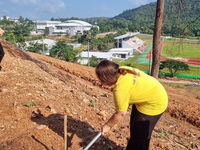 กองกิจการนิสิต ร่วมกับ กองอาคารสถานที่ ปลูกต้นคำมอกหลวง