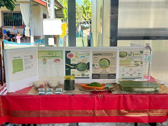 LINE_ALBUM_27102568 โครงการเพาะเลี้ยงผำ_251107_18.jpg