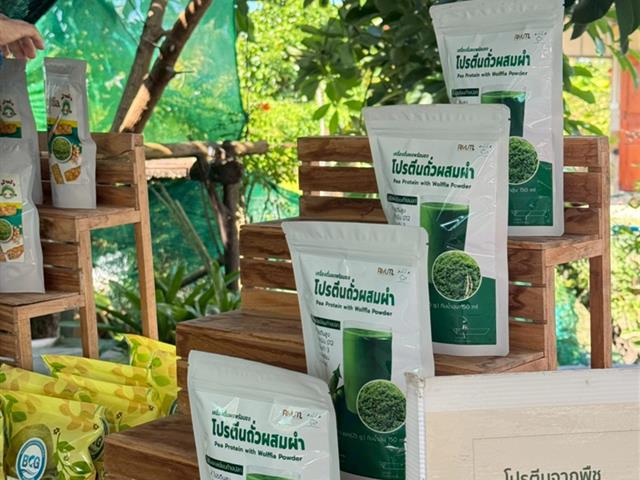 LINE_ALBUM_27102568 โครงการเพาะเลี้ยงผำ_251107_16.jpg