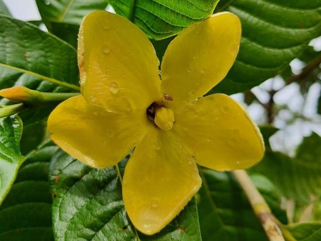 ทดสอบทดสอบทดสอบทดสอบ