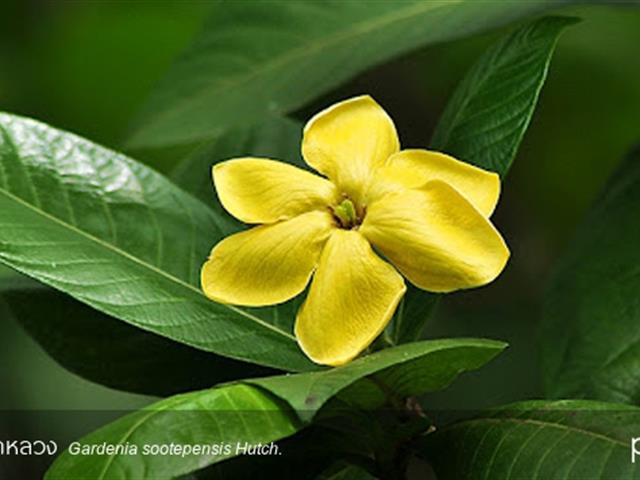 ทดสอบทดสอบทดสอบทดสอบ