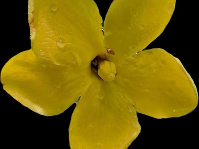 ทดสอบทดสอบทดสอบทดสอบ