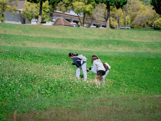 กฎหมายสิ่งแวดล้อมและการอนุรักษ์ทรัพยากรธรรมชาติ