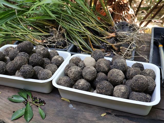  สโมสรนิสิตวิทยาลัยการจัดการ มหาวิทยาลัยพะเยา (กรุงเทพฯ) ร่วมกิจกรรม CSR “สร้างบ้านหิ่งห้อย คุ้งบางกระเจ้า” จังหวัดสมุทรปราการ