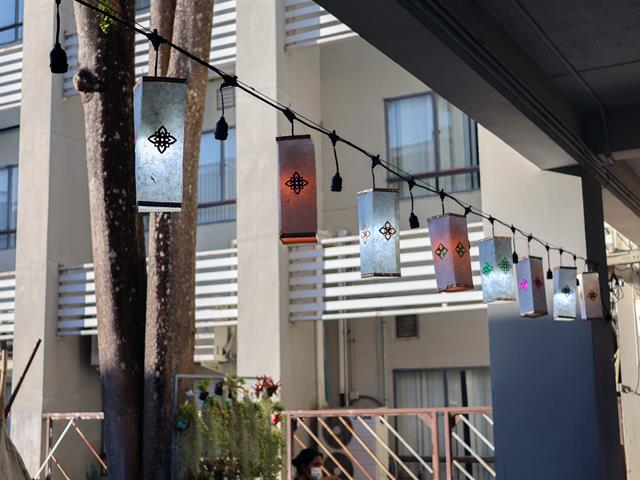 School of Political and Social Science 