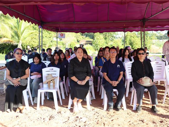 เกี่ยวข้าว ตีข้าว วิถีชาวล้านนา