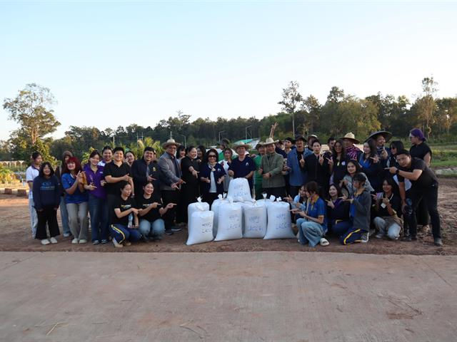 เกี่ยวข้าว ตีข้าว วิถีชาวล้านนา