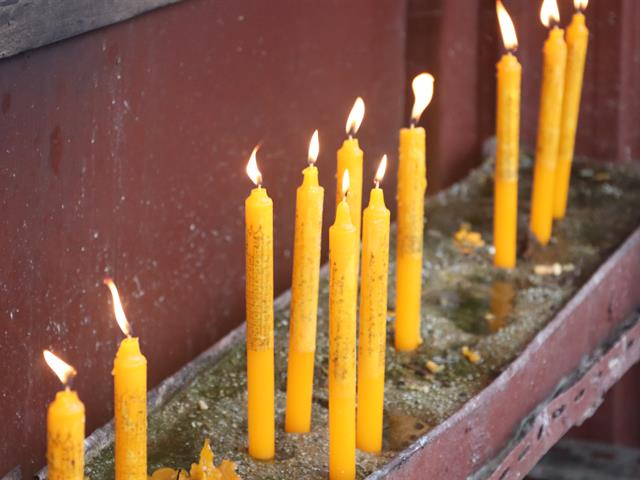 School of Political and Social Science 