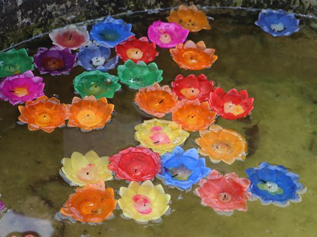 School of Political and Social Science 