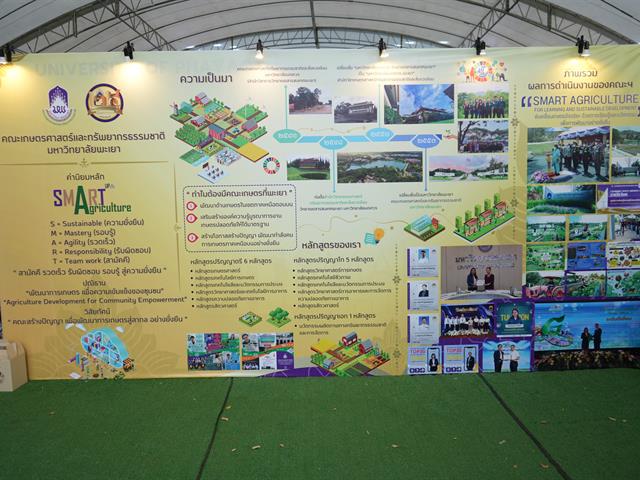 มหาวิทยาลัยพะเยา