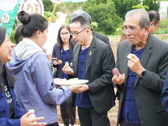 มหาวิทยาลัยพะเยา