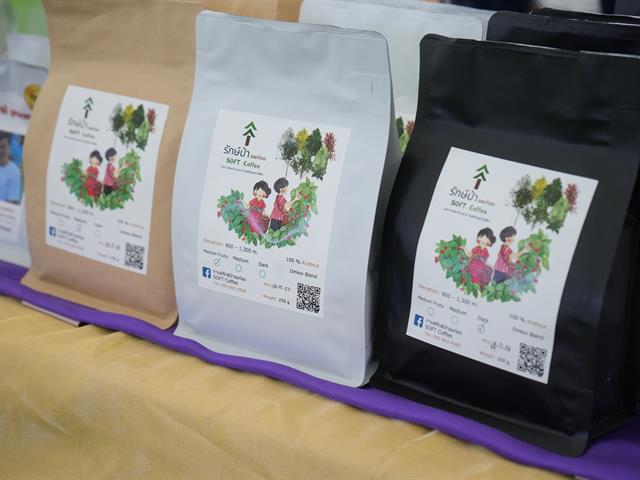 มหาวิทยาลัยพะเยา