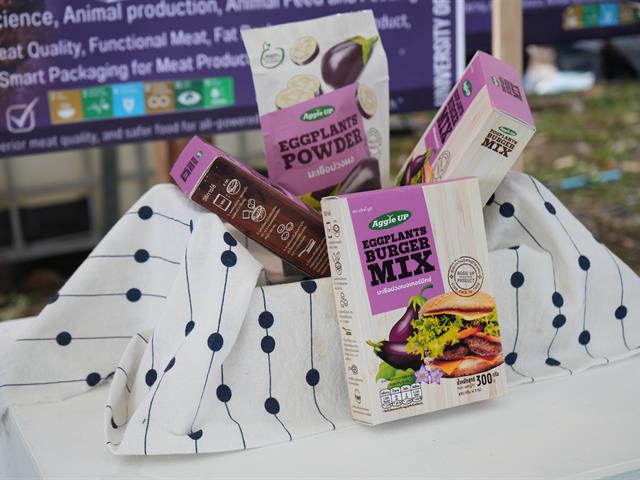 มหาวิทยาลัยพะเยา