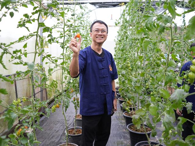 มหาวิทยาลัยพะเยา