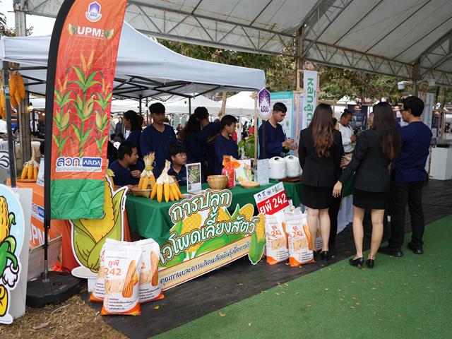 มหาวิทยาลัยพะเยา