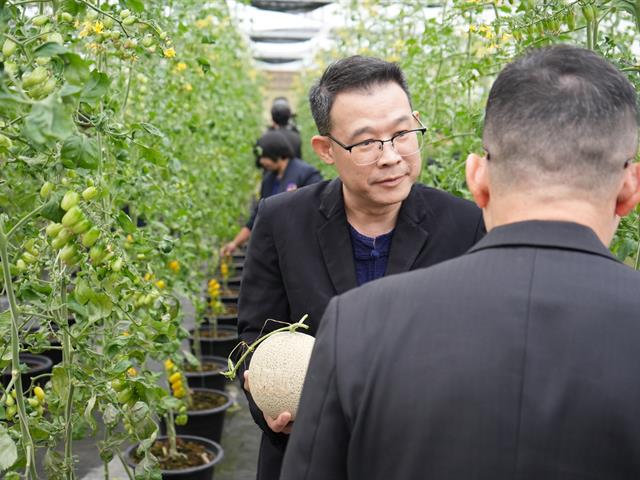 มหาวิทยาลัยพะเยา