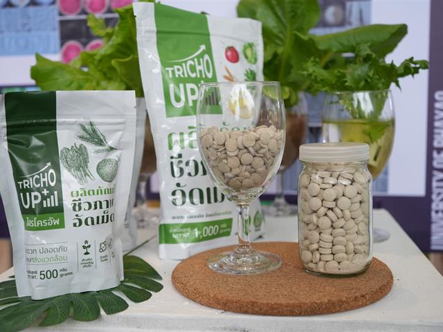 มหาวิทยาลัยพะเยา