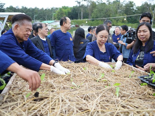 มหาวิทยาลัยพะเยา