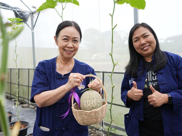 มหาวิทยาลัยพะเยา