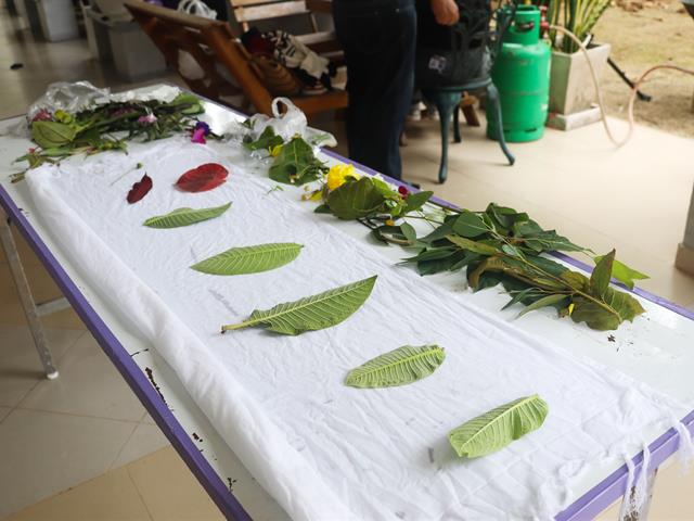 คณะรัฐศาสตร์และสังคมศาสตร์ 