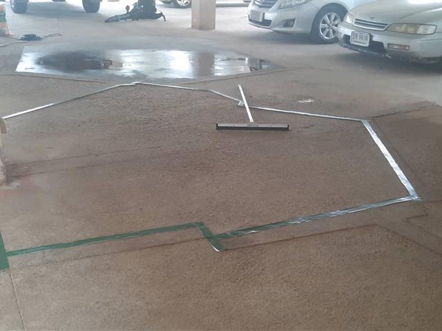 จระเข้ 13 (4).jpg