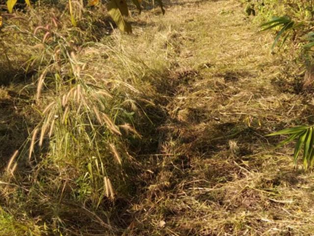 กองอาคารสถานที่ มหาวิทยาลัยพะเยา