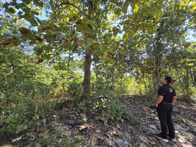 กองอาคารสถานที่ มหาวิทยาลัยพะเยา