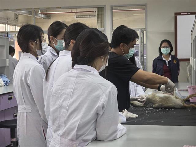 คณะวิทยาศาสตร์ มหาวิทยาลัยพะเยา