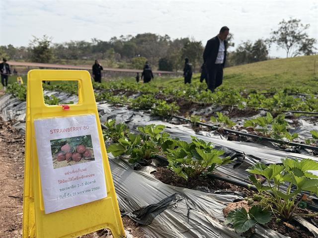 ม.พะเยา ต้อนรับคณะผู้บริหาร มทร.กรุงเทพ ศึกษาดูงานแลกเปลี่ยนแนวทางบริหารจัดการเพื่อพัฒนาองค์กร