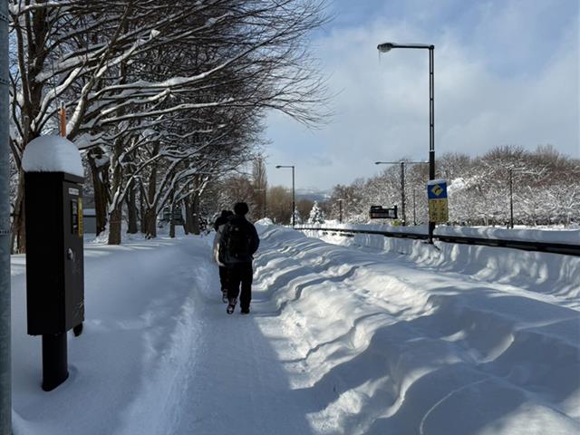 University of Phayao 