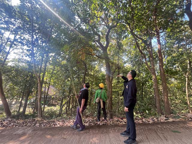 กองอาคารสถานที่ มหาวิทยาลัยพะเยา