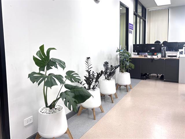 คณะแพทยศาสตร์ ม.พะเยา