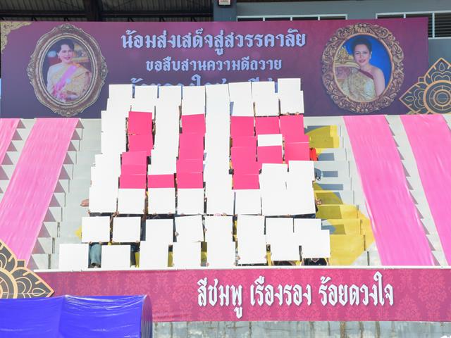 School of Education participated in the UP Sport Day & BMI Challenge 2026