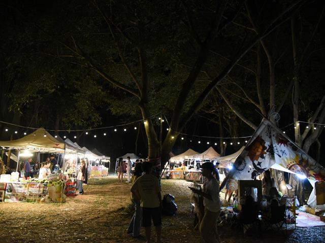 SAFA anniversary 15 years Young U D CRAFT