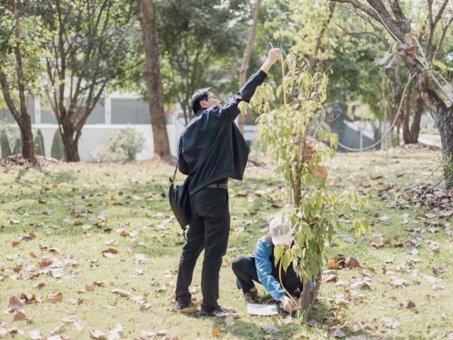 ระหว่างวันที่ 17 – 20 กุมภาพันธ์ 2569 มหาวิทยาลัยพะเยา โดย ศูนย์ประสานงาน อพ.สธ.-มหาวิทยาลัยพะเยา จัดกิจกรรม “การฝึกอบรมปฏิบัติการงานฐานทรัพยากรท้องถิ่น หลักสูตร 6 งาน ฐานทรัพยากรท้องถิ่น รุ่นที่ 1/2569” ณ ห้อง UP Space สถาบันนวัตกรรมและถ่ายทอดเทคโนโลยี อาคาร 99 ปี พระอุบาลีคุณูปมาจารย์ (ปวง ธมฺมปญฺโญ) มหาวิทยาลัยพะเยา